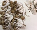 ゴーヤとキノコと豚肉のの炒めもの作り方9写真