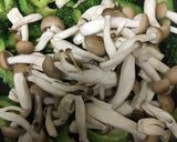 ゴーヤとキノコと豚肉のの炒めもの作り方12写真