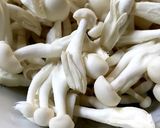 キノコピーマンオイスターバターレンジ蒸し作り方1写真