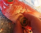 鯛の三枚おろし作り方1写真