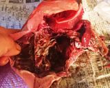 鯛の三枚おろし作り方4写真