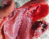 鯛の三枚おろし作り方5写真