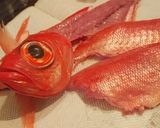 鯛の三枚おろし作り方11写真