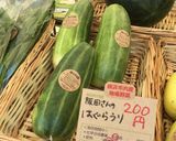 冷ご飯に混ぜるだけ♪はぐら瓜ライス作り方4写真