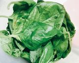 超簡単♪メチャうま美味しいバジルペースト作り方1写真