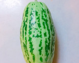 しまうりの浅漬け作り方1写真