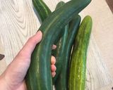 きゅうりのパリパリ佃煮作り方1写真