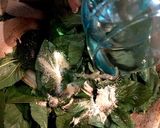 簡単♪ モロヘイヤと山芋の美肌皿うどん作り方7写真