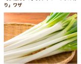 料理男子必見だよ！長ねぎのみじん切り②作り方8写真