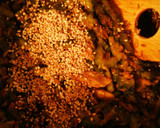 簡単♪作り置き＊鯖缶とゴーヤの佃煮作り方10写真