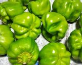 神楽南蛮と夏野菜の塩和え作り方1写真