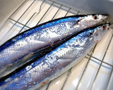 〰魚屋さんから教わった秋刀魚の塩焼き〰作り方1写真