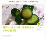簡単おいしい3分で出来るきゅうりの漬け物作り方11写真