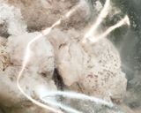 簡単！節約！手羽元としめじのトロ炒め作り方3写真
