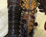 伊勢海老のお味噌汁作り方2写真