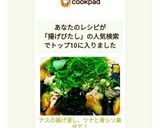 ナスの揚げ浸し、ツナと青シソ乗せて！作り方9写真