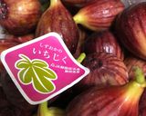 いちじく甘露煮作り方25写真