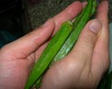 オクラの鰹節和え作り方1写真