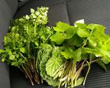 我が家で取れる天婦羅食材メモ作り方6写真