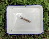 今日のキャンプカレー作り方9写真