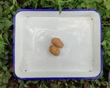今日のキャンプカレー作り方20写真
