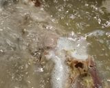 鶏ガラスープを採ってみた作り方2写真