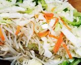 ゴーヤ入り野菜たっぷり塩焼きそば作り方4写真
