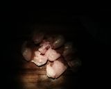 キャンプ親子丼作り方4写真