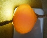 【江戸の味】世界に一つだけの黄身返し卵作り方5写真