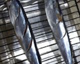 ハーブ香るサンマパエリア作り方1写真