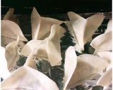 キスマイ横尾渉☆愛情のつつみ揚げ(納豆)作り方9写真