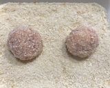 混ぜるだけ 簡単チーズ入りライスコロッケ作り方5写真