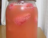 いちごの自家製酵母作り方5写真