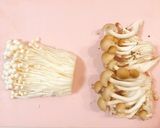 風邪のときに♡鶏肉ときのこの生姜あんかけ作り方1写真