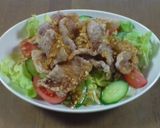豚肉のから揚げ☆台湾風作り方5写真