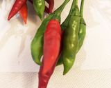 タイの万能調味料☆プリックナンプラー作り方1写真