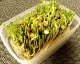 豆苗とモヤシの塩昆布ナムル作り方4写真
