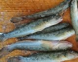 サクッと。マハゼの唐揚げ作り方1写真
