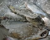 サクッと。マハゼの唐揚げ作り方3写真