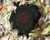 めんつゆ１本で肉焼うどん♪作り方4写真