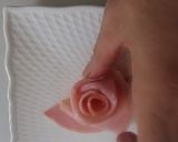 刺し身にもつかえるバラの作りかた作り方3写真
