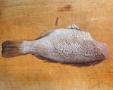 ガヤ(エゾメバル)の刺身作り方4写真