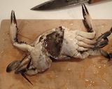 ワタリガニの白ワイン蒸し作り方3写真