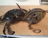 蒸しワタリガニ作り方1写真