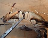 蒸しワタリガニ作り方2写真
