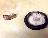 からし椎茸〜ツンとくる辛さがクセになる〜作り方3写真