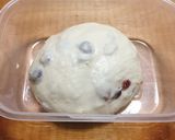 冷蔵発酵　クランベリーのリュスティック作り方8写真
