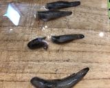ダボハゼ（チチブ）フライ作り方2写真