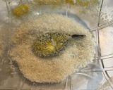 ダボハゼ（チチブ）フライ作り方7写真
