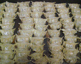 お店より絶対おいしい！手作り羽根付き餃子作り方6写真
